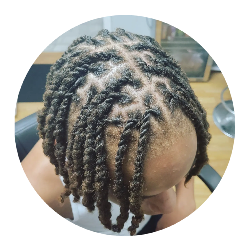 Two Strand Twist on Locs – Protective Style for Mature Locs